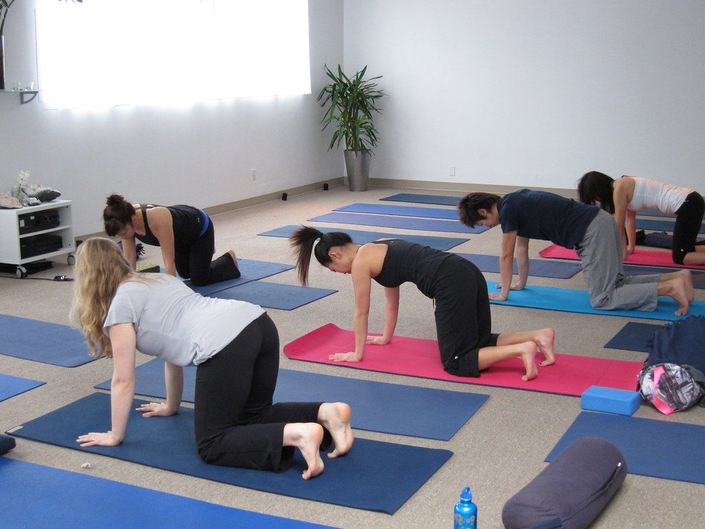 Hatha yoga